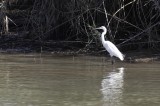 Bestandsnaam=Gambia_2016-291.JPG
Bestandsgrootte=177KiB
Afmetingen = 700x467
Datum toegevoegd = 29 mei 2016 Gambia_2016-291.JPG