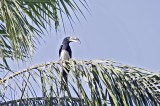 Bestandsnaam=Gambia_2016-412.JPG
Bestandsgrootte=191KiB
Afmetingen = 700x467
Datum toegevoegd = 29 mei 2016 Gambia_2016-412.JPG