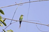 Bestandsnaam=Gambia_2016-425.JPG
Bestandsgrootte=146KiB
Afmetingen = 700x467
Datum toegevoegd = 29 mei 2016 Gambia_2016-425.JPG