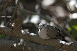 Bestandsnaam=Gambia_2016-445.JPG
Bestandsgrootte=182KiB
Afmetingen = 700x467
Datum toegevoegd = 29 mei 2016 Gambia_2016-445.JPG