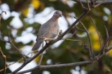 Bestandsnaam=Gambia_2016-552.jpg
Bestandsgrootte=191KiB
Afmetingen = 700x467
Datum toegevoegd = 29 mei 2016 Gambia_2016-552.jpg