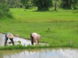 Bestandsnaam=Thailand_-_Laos_2005-0432.JPG
Bestandsgrootte=139KiB
Afmetingen = 467x350
Datum toegevoegd = 27 feb 2018 Thailand_-_Laos_2005-0432.JPG