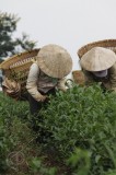 Bestandsnaam=Vietnam-Cambodja_2010-1217.JPG
Bestandsgrootte=148KiB
Afmetingen = 467x700
Datum toegevoegd = 27 feb 2018 Vietnam-Cambodja_2010-1217.JPG
